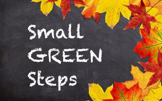 Picture of Small Green Steps - Level Three
